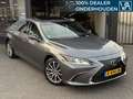 Lexus ES 300 300h Luxury Line | 360 Camera | Stoelkoeling | Grau - thumbnail 7
