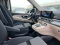 Mercedes-Benz V 300 Marco Polo 4M AMG*Night*AIR*Distr*AHK2,5t Blau - thumbnail 5