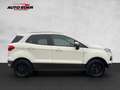 Ford EcoSport Titanium Klima Einparkhilfe el. Fenster Blanco - thumbnail 18