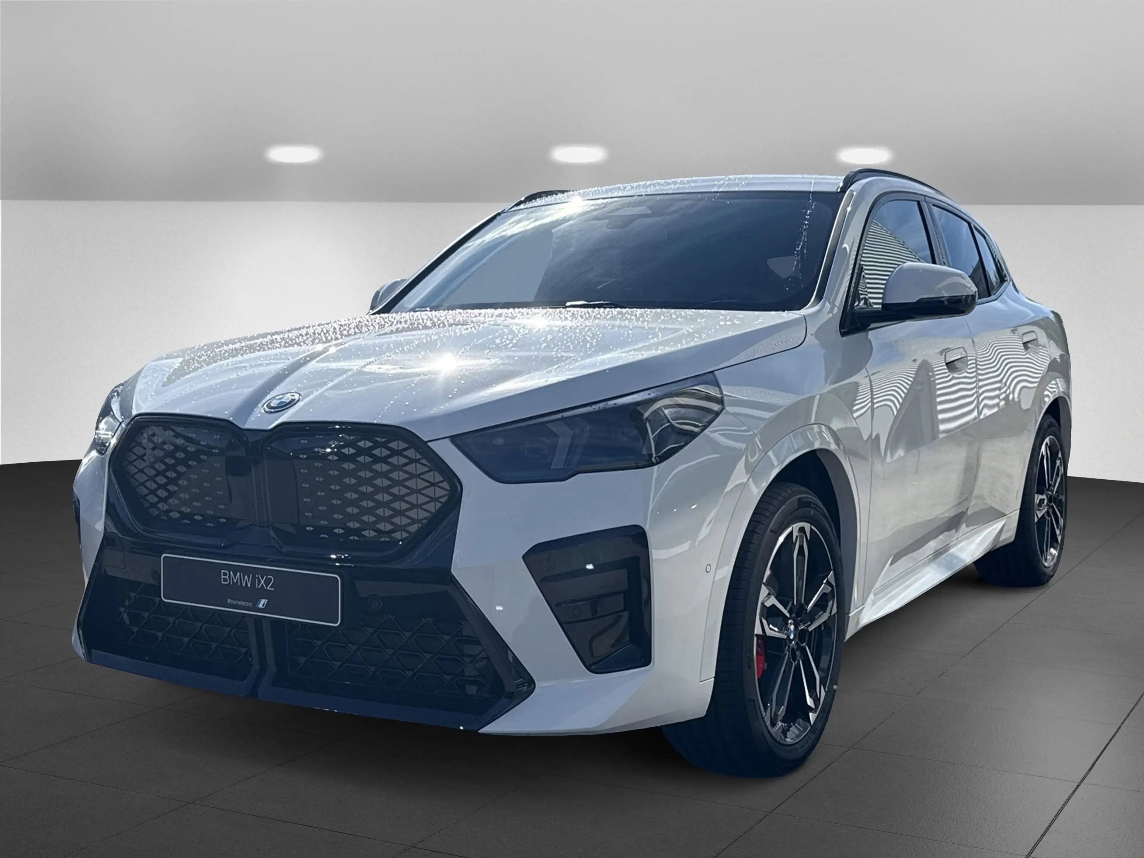 BMW iX2 xDrive30 M Sportpaket DAB LED Komfortzg.