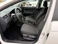 SEAT Ibiza Ibiza 1.6 TDI 95CV 5 porte Reference Blanc - thumbnail 15