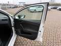 SEAT Ibiza Ibiza 1.6 TDI 95CV 5 porte Reference Blanc - thumbnail 23