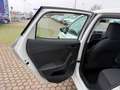 SEAT Ibiza Ibiza 1.6 TDI 95CV 5 porte Reference Blanc - thumbnail 18