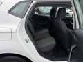 SEAT Ibiza Ibiza 1.6 TDI 95CV 5 porte Reference Blanc - thumbnail 17