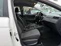 SEAT Ibiza Ibiza 1.6 TDI 95CV 5 porte Reference Blanc - thumbnail 20