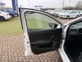 SEAT Ibiza Ibiza 1.6 TDI 95CV 5 porte Reference Blanc - thumbnail 14