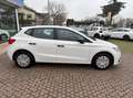 SEAT Ibiza Ibiza 1.6 TDI 95CV 5 porte Reference Blanc - thumbnail 4