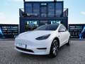 Tesla Model Y RWD| 96,6% SOH | 40.000 KM | WÄRMEPUMPE | PANORAMA Weiß - thumbnail 1