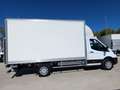 Ford Transit FT 350 Chasis Cabina 2.0 EcoBlue L3 Trend Blanco - thumbnail 3