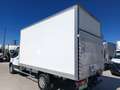 Ford Transit FT 350 Chasis Cabina 2.0 EcoBlue L3 Trend Blanco - thumbnail 9