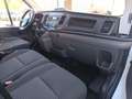 Ford Transit FT 350 Chasis Cabina 2.0 EcoBlue L3 Trend Blanco - thumbnail 15