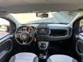 Fiat Panda CROSS 0.9 TwinAir Turbo S&S 4x4 NEOPATENTATI Rouge - thumbnail 9