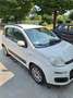 Fiat Panda 1.2 Classic 69cv - thumbnail 3