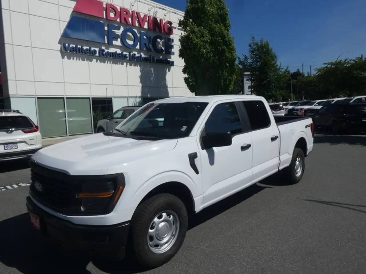 2024 Ford F 150