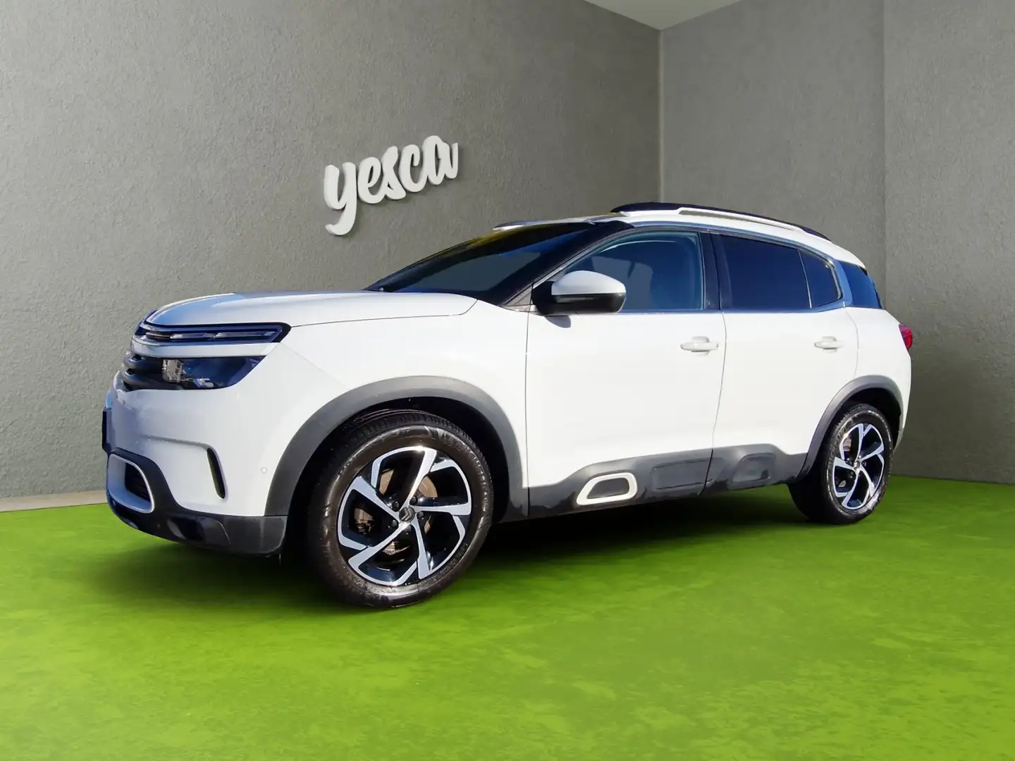 Citroen C5 Aircross BlueHDI 130 S&S EAT8 Automatik Feel Blanc - 1