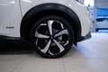 Nissan Juke MY23 TEKNA SV HEV Bianco - thumbnail 13