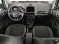 Ford EcoSport 1.0 ecoboost Titanium s&s 125cv my20.25 Grigio - thumbnail 9