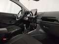 Ford EcoSport 1.0 ecoboost Titanium s&s 125cv my20.25 Grigio - thumbnail 7