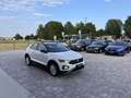 Volkswagen T-Roc 1.0 TSI RESTYLING ANCHE PER NEOPATENTATI Blanc - thumbnail 5