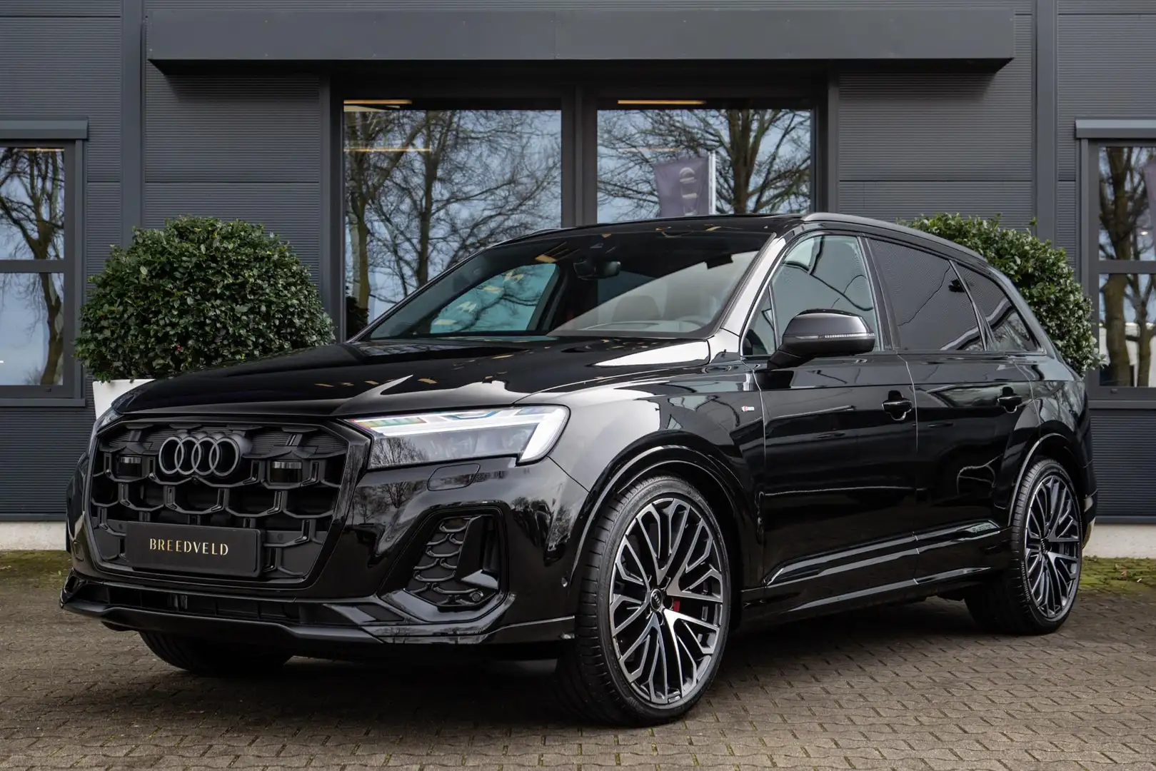 Audi Q7 50 TDI quattro Pro Line Advanced 7p Černá - 2