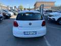 Volkswagen Polo Polo 5p 1.2 tdi EURO 5 Blanc - thumbnail 5