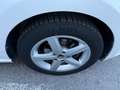 Volkswagen Polo Polo 5p 1.2 tdi EURO 5 Blanc - thumbnail 7