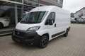 Fiat Ducato 30 140 L2H2 AUTOM/KLIMATR/TEMP/KAM/NAVI Weiß - thumbnail 1