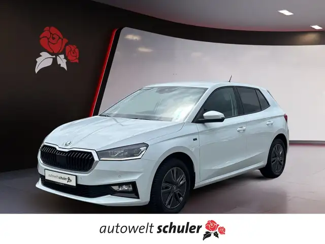 Skoda Fabia 1.0 TSI Tour AHK LED Navi