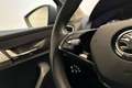 Skoda Karoq 1.5 TSI 150pk DSG ACT Business Edition | Navigatie Grijs - thumbnail 19