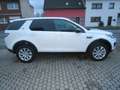 Land Rover Discovery Sport TD4 110kW 4WD PURE Weiß - thumbnail 7