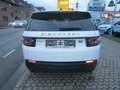 Land Rover Discovery Sport TD4 110kW 4WD PURE Weiß - thumbnail 3