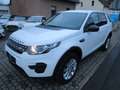 Land Rover Discovery Sport TD4 110kW 4WD PURE Weiß - thumbnail 5