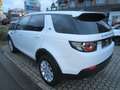 Land Rover Discovery Sport TD4 110kW 4WD PURE Weiß - thumbnail 6