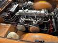 Triumph TR6 Orange - thumbnail 6