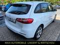 Mercedes-Benz B 180 B180d-1.HAND-NAVI-LEDER-PDC-VIRT-SHZ-TEM-MERC KD Weiß - thumbnail 4