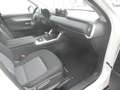 Mazda CX-60 PEHV Exclusive-Line + Driver Assist-Pak. Weiß - thumbnail 10