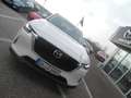 Mazda CX-60 PEHV Exclusive-Line + Driver Assist-Pak. Weiß - thumbnail 15