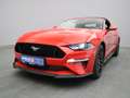 Ford Mustang GT Cabrio V8 450PS Aut./Premium 2 Rot - thumbnail 23