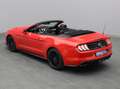 Ford Mustang GT Cabrio V8 450PS Aut./Premium 2 Rot - thumbnail 19