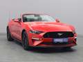 Ford Mustang GT Cabrio V8 450PS Aut./Premium 2 Rot - thumbnail 36