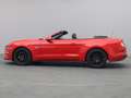 Ford Mustang GT Cabrio V8 450PS Aut./Premium 2 Rot - thumbnail 3