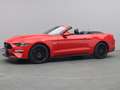 Ford Mustang GT Cabrio V8 450PS Aut./Premium 2 Rot - thumbnail 27