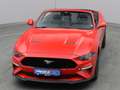 Ford Mustang GT Cabrio V8 450PS Aut./Premium 2 Rot - thumbnail 49