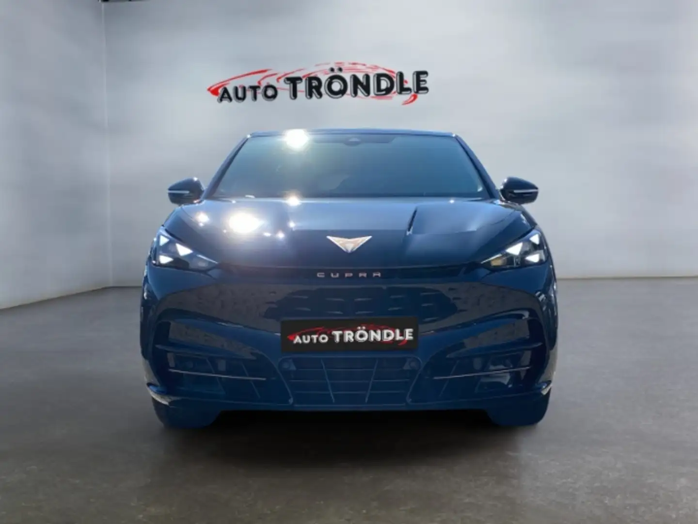 CUPRA Tavascan Endurance 82 kWh +Kamera +ScheibenHZG Gri - 2