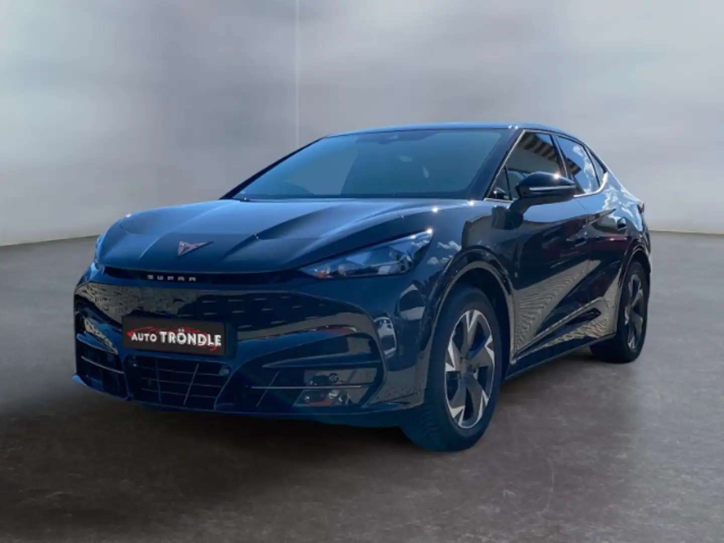 CUPRA Tavascan Endurance 82 kWh +Kamera +ScheibenHZG Gri - 1