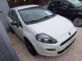 Fiat Punto 1.2i Young II 69PK Wit - thumbnail 5