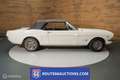 Ford Mustang Cabriolet 1966 | Route 66 auctions Blanc - thumbnail 4