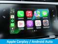 Opel Corsa 1.2 Edition CARPLAY-CRUISE-1e EIGENAAR-NL AUTO Oranje - thumbnail 10