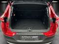 Opel Grandland X 1.6 Turbo Hybrid/SITZBELÜFTUNG/360°K Rot - thumbnail 15