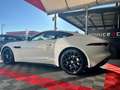 Jaguar F-Type 2.0 R-Dynamic*AUTOMATICA Bianco - thumbnail 6